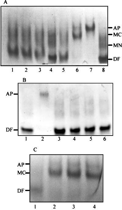 FIG. 3