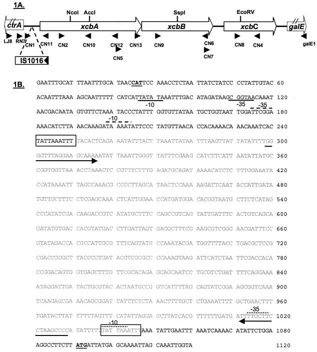 FIG. 1.