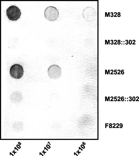 FIG. 5.