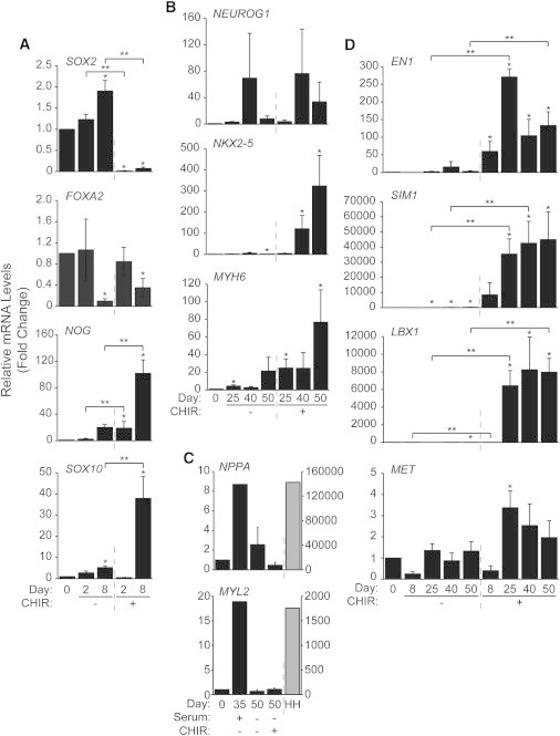 Figure 4