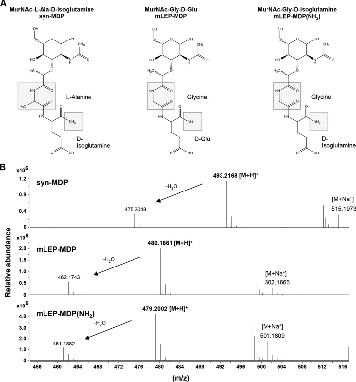 FIG 3