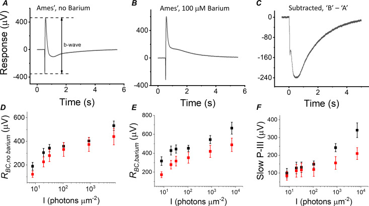 Figure 5—figure supplement 1.