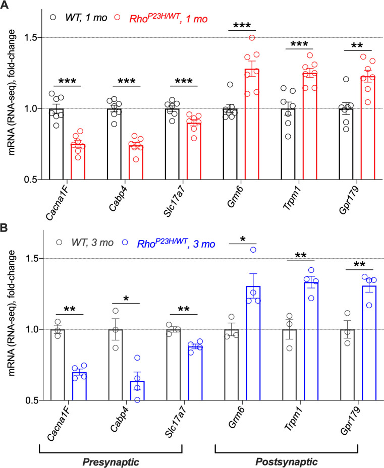 Figure 3—figure supplement 4.