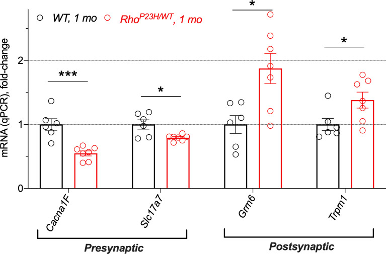 Figure 3—figure supplement 5.