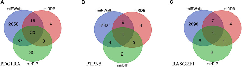 FIGURE 4