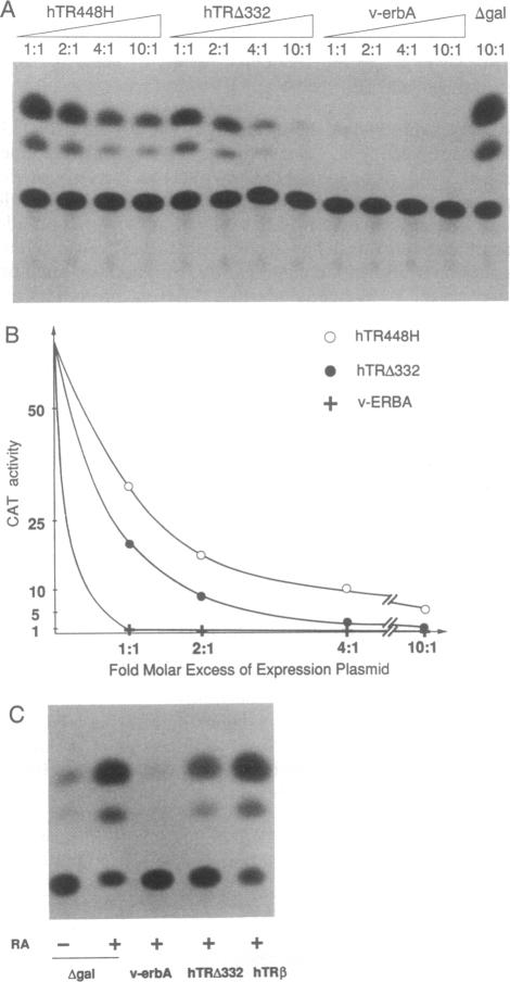 graphic file with name pnas01096-0084-a.jpg