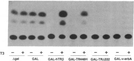 graphic file with name pnas01096-0083-a.jpg