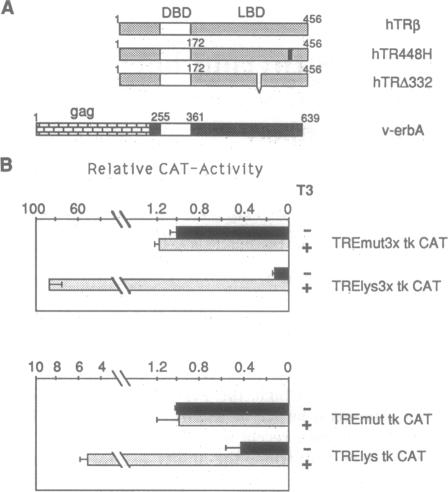 graphic file with name pnas01096-0082-a.jpg