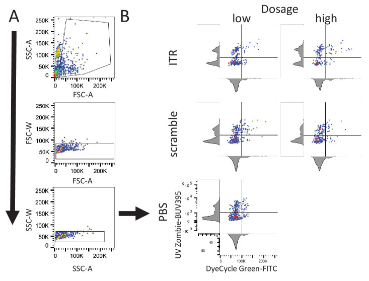 Figure 3—figure supplement 1.