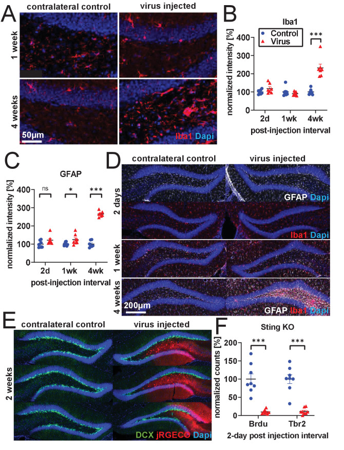 Figure 2—figure supplement 2.