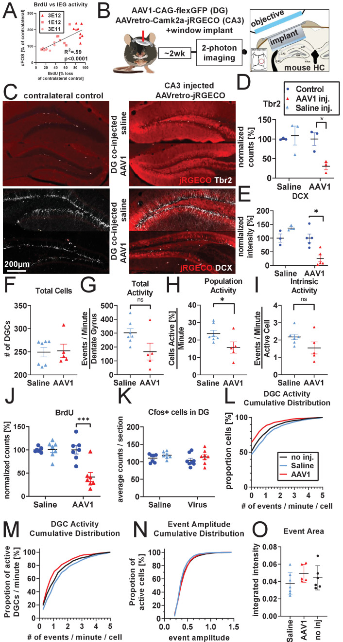 Figure 4—figure supplement 1.