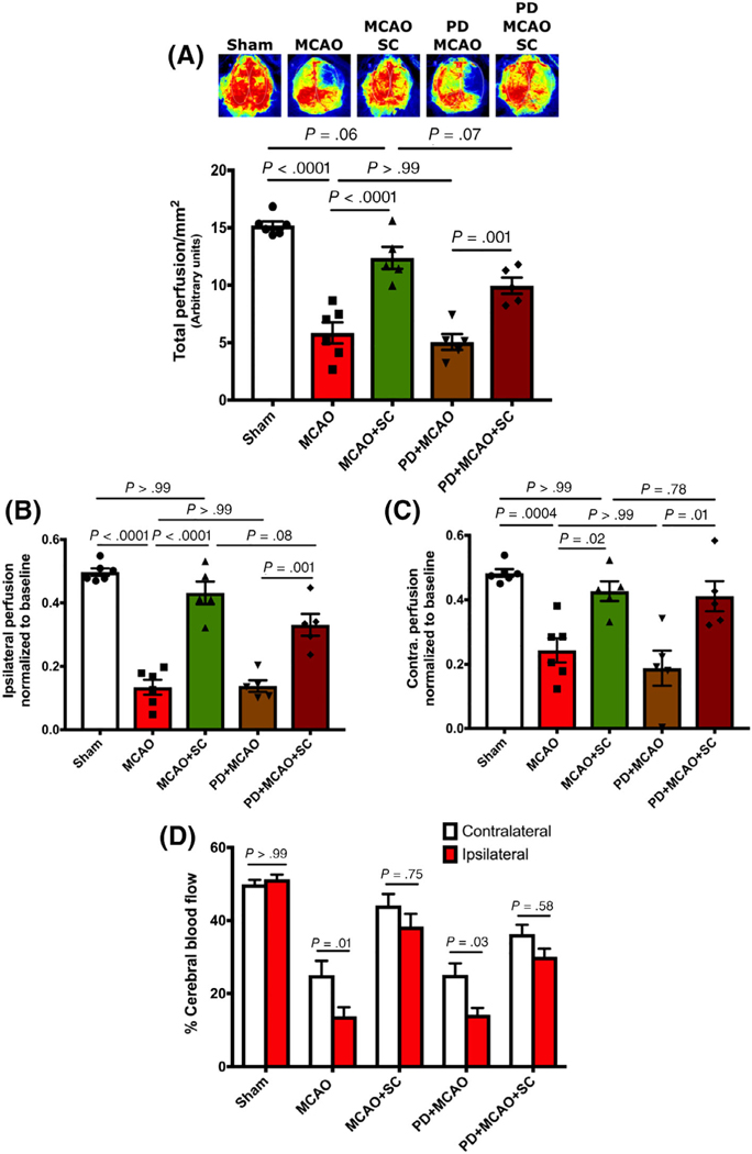 FIGURE 6