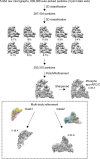 Figure 3—figure supplement 2.