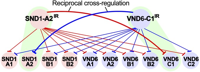 Fig. 8.