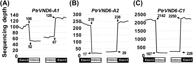 Fig. S3.