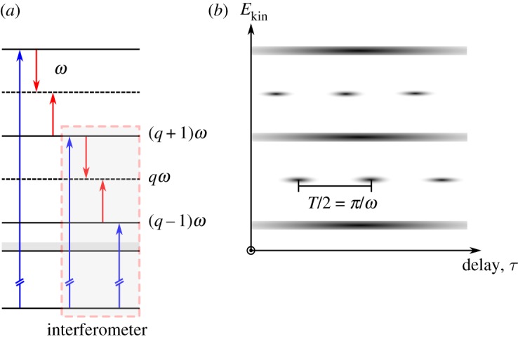 Figure 1.