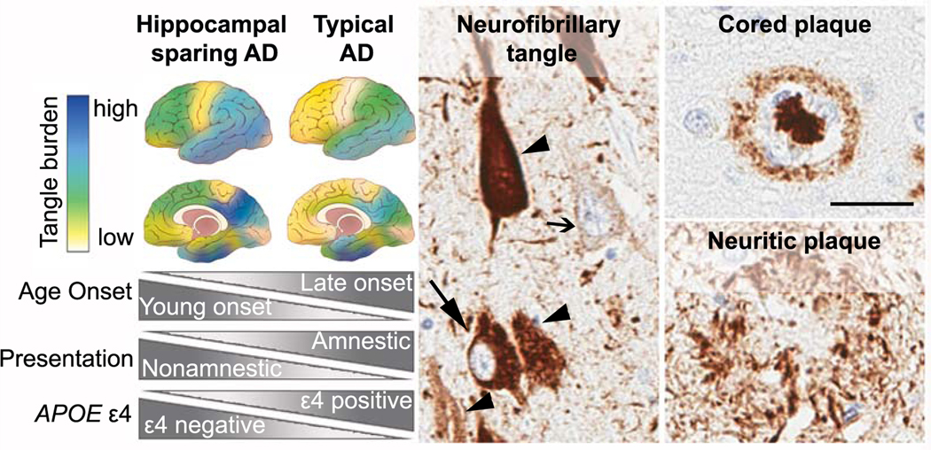 Figure 3: