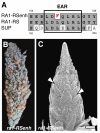 Fig. 5.