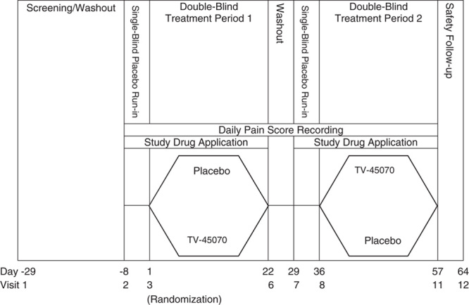 FIGURE 1