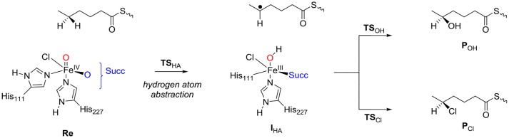 Scheme 1