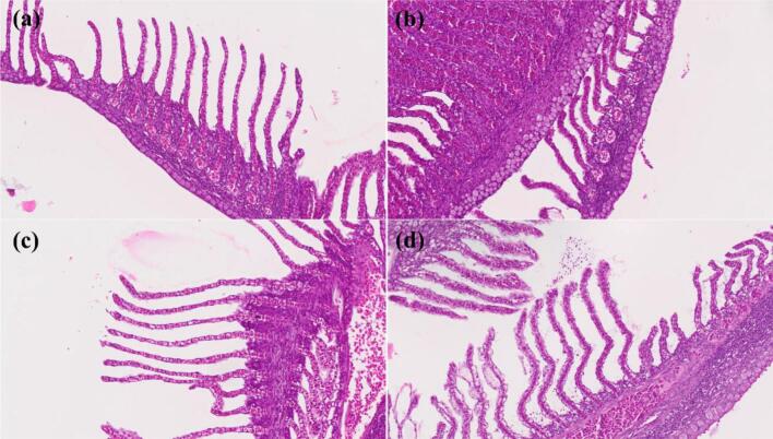 Fig. 9