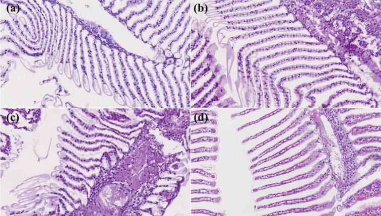 Fig. 13