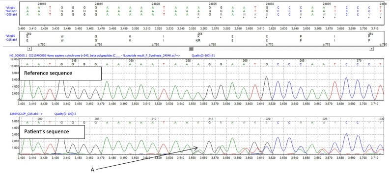 Figure 4