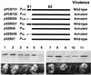 FIG. 6