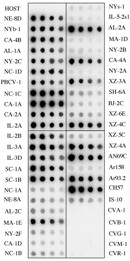 FIG. 4.