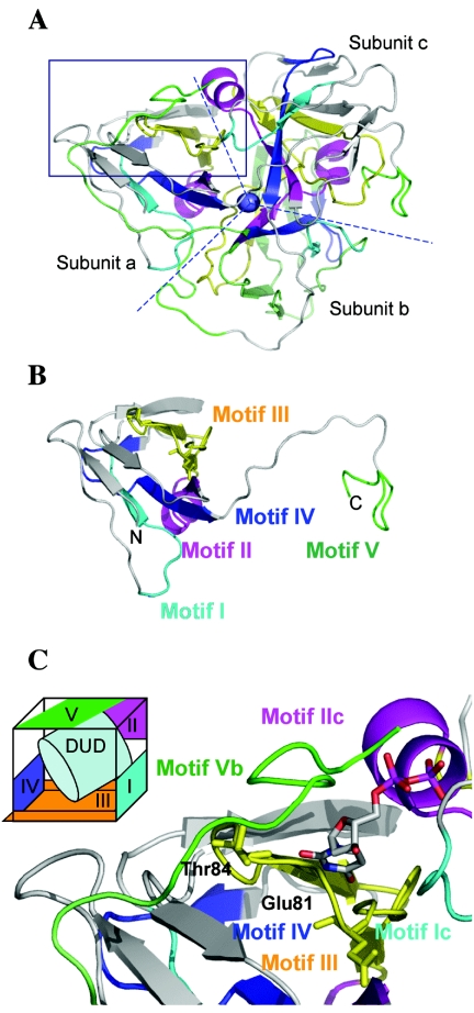 FIG. 6.