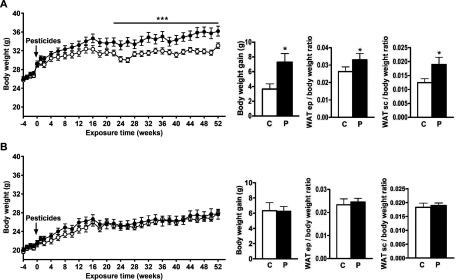 Figure 1A is a line graph with standard error of the mean plotting body weight of male mice (grams) (y-axis) across exposure time in weeks (x-axis). Figure 1a also comprises three histograms with standard error of the mean each plotting body weight gain in grams, epididymal white adipose tissue per body weight ratio, and subcutaneous white adipose tissue per body weight ratio (y-axis), respectively, across pesticide-exposed mice and mice fed control chow (x-axis). Figure 1B plots the same for the female mice as in Subpart A.