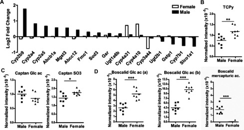 Figure 6A plots log 2 fold change (y-axis) across hepatic genes (x-axis) for females and males. Figure 6B plots normalized intensity (times 10 raised to super negative 5) (y-axis) in male and female mice (x-axis) for the TCPy. Figure 6C comprises two graphs plotting normalized intensity (times 10 raised to super negative 5) (y-axis) in male and female mice (x-axis) each for the captan Glc ac and captan S O 3. Figure 6D comprises three graphs plotting normalized intensity (times 10 raised to super negative 5) (y-axis) in male and female mice (x-axis) each for the Boscalid glc ac (a), Boscalid glc ac (b), and Boscalid mercapturic ac.