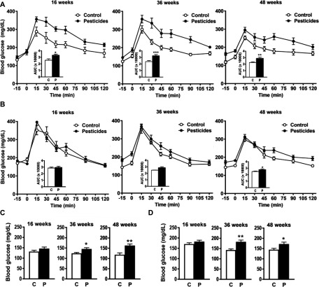 Figure 2A comprises three line graphs with standard error of the mean plotting level of blood glucose after administration of an intraperitoneal glucose load in male mice (milligrams per deciliter) (y-axis) across time in minutes (x-axis), at 16 weeks, 36 weeks, and 48 weeks, respectively, for mice fed with control chow and pesticide chow. The three graphs each have a histogram inset plotting A U C times 1000 (y-axis) across control chow and pesticide chow (x-axis). Figure 2B plots the same for the female mice as in Subpart A. Figure 2C comprises three histograms with standard error of the mean plotting the body glucose level (y-axis) in male mice across control chow and pesticide chow (x-axis), each at 16 weeks, 36 weeks, and 48 weeks, respectively. Figure 2D plots the same for the female mice as in subpart C.