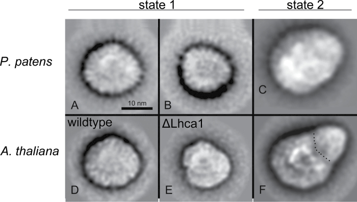 Fig. 4.