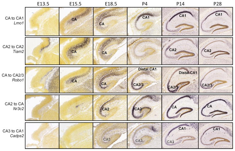 Figure 5