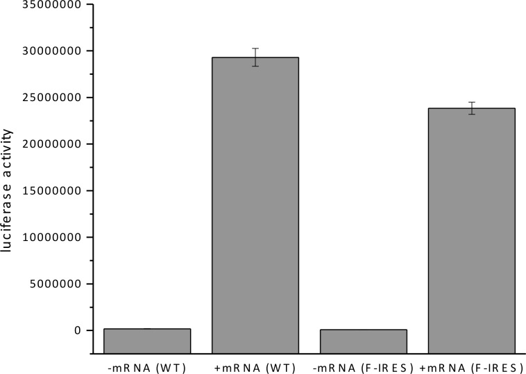 Figure 1—figure supplement 1.