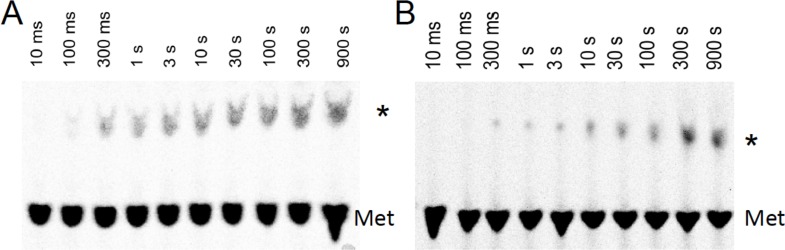 Figure 4—figure supplement 1.