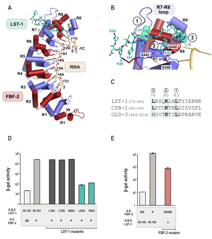 Figure 2.