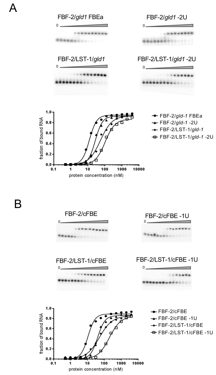 Figure 5—figure supplement 1.