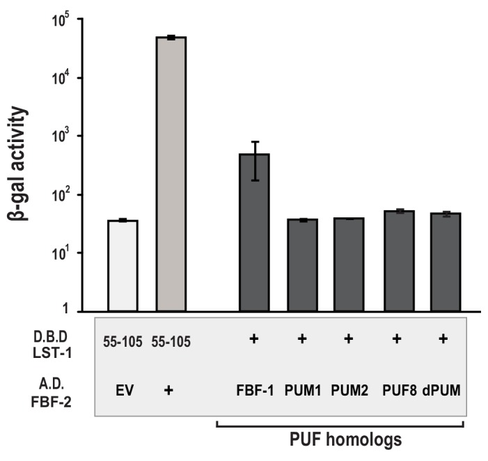 Figure 1—figure supplement 2.