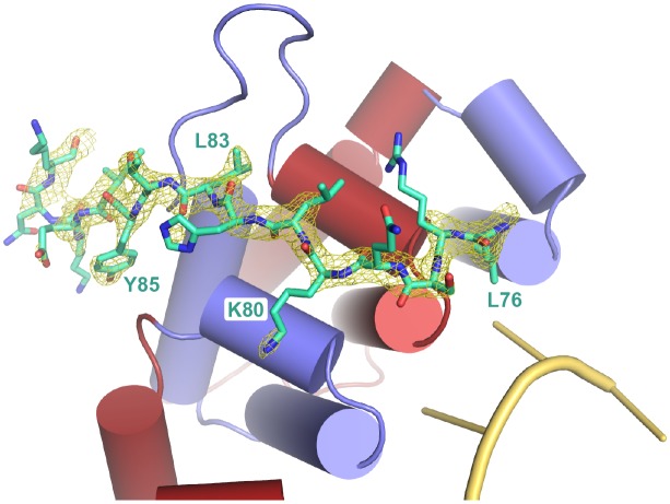 Figure 2—figure supplement 1.