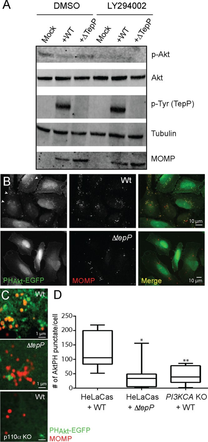 FIG 6 