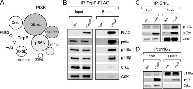 FIG 1 