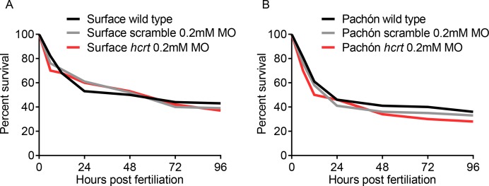 Figure 4—figure supplement 1.