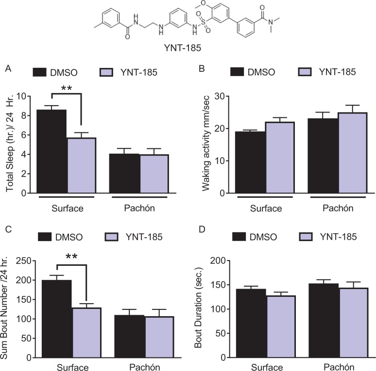 Figure 3—figure supplement 1.