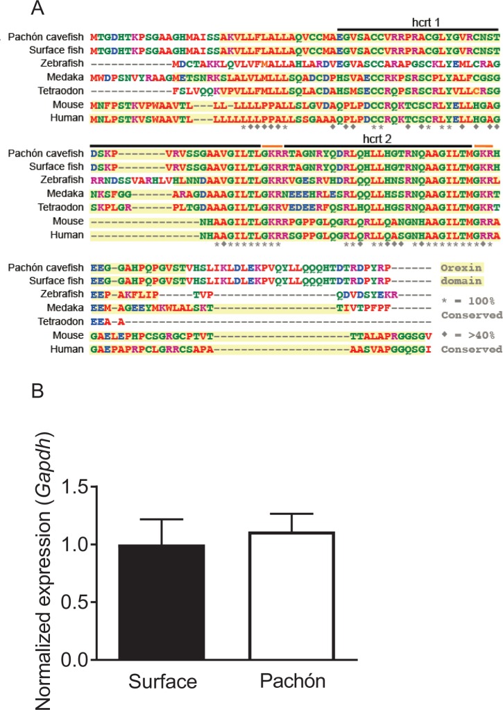 Figure 1—figure supplement 1.