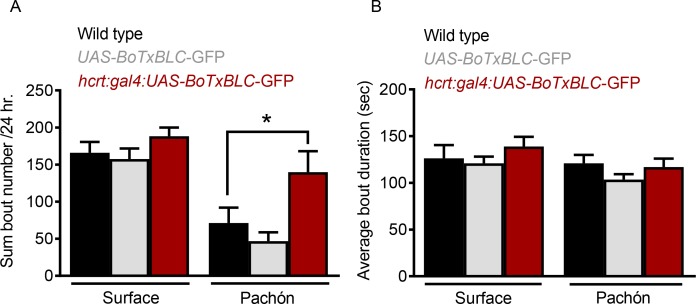 Figure 5—figure supplement 1.