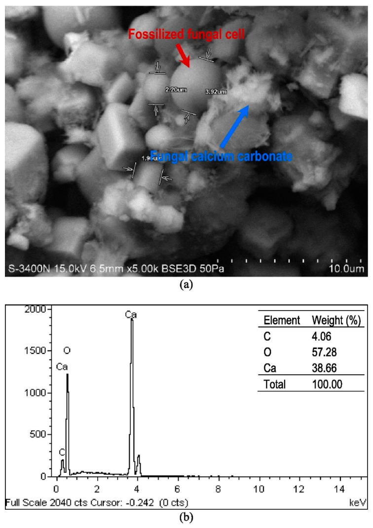 Figure 16