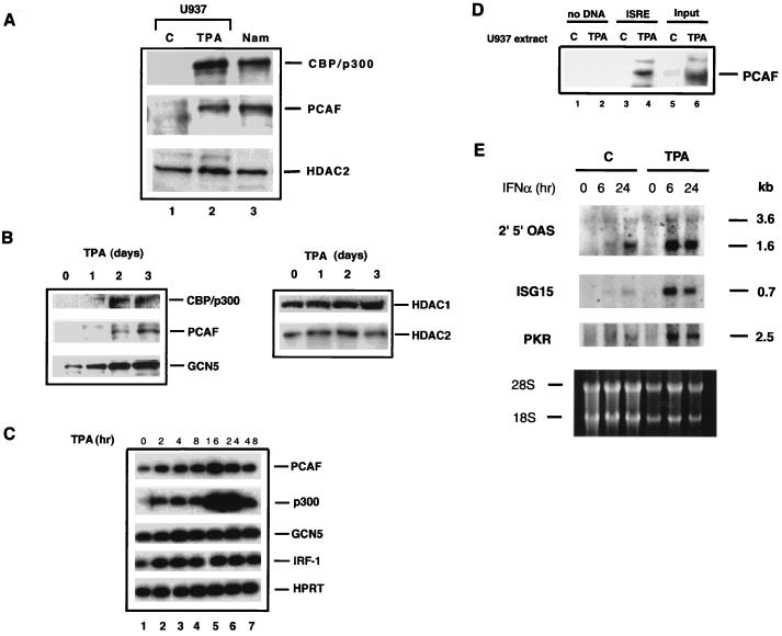 FIG. 6