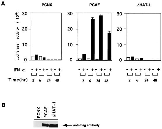 FIG. 7